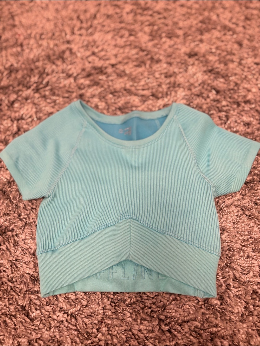 Aerie Aqua Ribbed Short Sleeve Cropped Tee